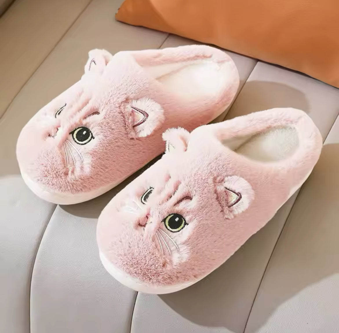 Cat Slippers